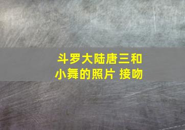 斗罗大陆唐三和小舞的照片 接吻